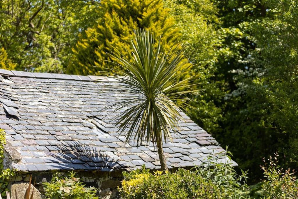 Plas Newydd With Swimming Pool, Fire Pit, And Log Fires Villa Rhiw Esterno foto